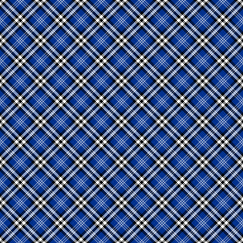 HD Tartan Rainbow #10