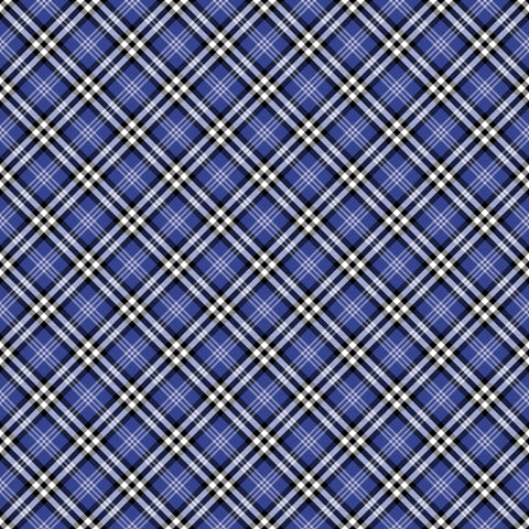 HD Tartan Rainbow #17