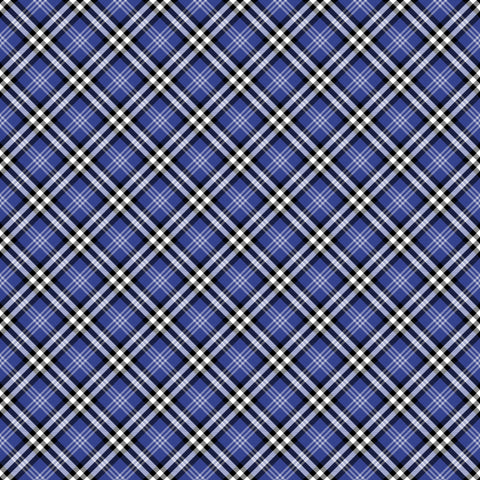 HD Tartan Rainbow #17