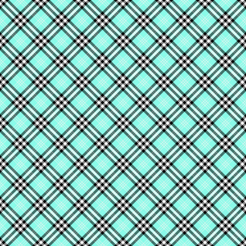 HD Tartan Rainbow #24