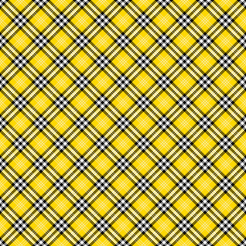 HD Tartan Rainbow #42