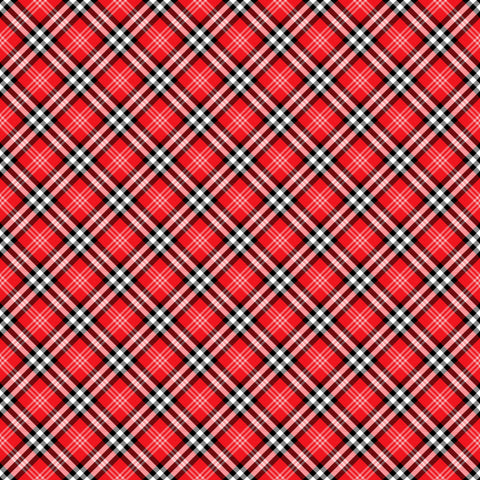 HD Tartan Rainbow #55